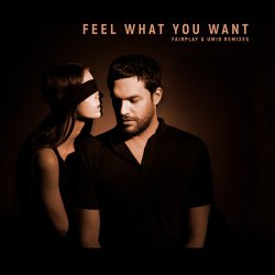 Portada Phonique & Rebecca - Feel What You Want (Fairplay Remix)