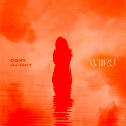 Portada Dony & DJ TAVY - WIIRU
