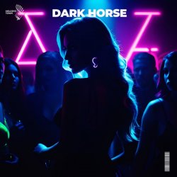 Portada Slawd & Vallvete - dark horse (slowed + reverb)
