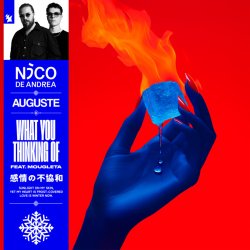 Portada Nico de Andrea & AUGUSTE & Mougleta - What You Thinking Of