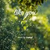Portada LiQWYD - Like You LiQWYD - Like You