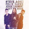 Portada Steve Aoki & Felix Jaehn feat. Adam Lambert - Can't Go Home (Radio Edit) Steve Aoki & Felix Jaehn feat. Adam Lambert - Can't Go Home (Radio Edit)