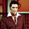 Portada Elvis Presley - Can't Help Falling in Love Elvis Presley - Can't Help Falling in Love
