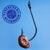 Portada Infected Mushroom - Elevation Infected Mushroom - Elevation