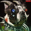 Portada Machine Girl - Blood Magic Machine Girl - Blood Magic