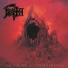 Cover Death - Painkiller (Judas Priest cover) Death - Painkiller (Judas Priest cover)