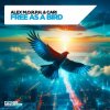 Обкладинка Alex M.O.R.P.H. & Cari - Free as a Bird Alex M.O.R.P.H. & Cari - Free as a Bird