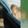 Portada AVAION & oskar med k - Can't find you AVAION & oskar med k - Can't find you