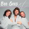 Portada Bee Gees - You Know It's For You Bee Gees - You Know It's For You