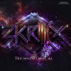 Portada Skrillex - Chicken Soup Skrillex - Chicken Soup