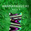 Portada Anamanaguchi - Echobo Anamanaguchi - Echobo