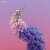 Portada Flume Feat. Kai - Never Be Like You