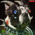 Portada Machine Girl - Fortress Destroyer