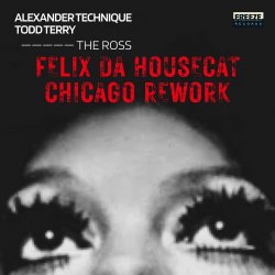 Portada Felix Da Housecat - What Does It Feel Like