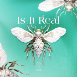 Portada Kabo - Is It Real (Extended Mix)