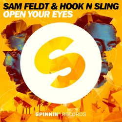 Portada Sam Feldt - The Confession