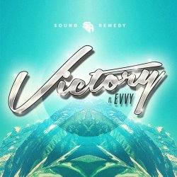 Portada Sound Remedy - Summer Was Fun