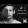 Portada Flume - Possum Flume - Possum