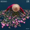 Portada Besso - Zelda Besso - Zelda