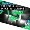 Tiesto & Mike Williams - I Want You