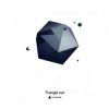 Portada Triangle Sun - Buddha(Instrumental) Triangle Sun - Buddha(Instrumental)