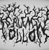 Portada Salem - Hollow Salem - Hollow