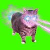 Portada XertXetin - OIIA OIIA COSMIC CAT (Slowed) XertXetin - OIIA OIIA COSMIC CAT (Slowed)