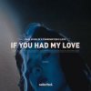 Portada Paul Schulze & FÜNKENSTEIN & LEVII - If You Had My Love Paul Schulze & FÜNKENSTEIN & LEVII - If You Had My Love