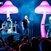 Portada Infected Mushroom - Mixed by G Light live mix from Exotica Gold Infected Mushroom - Mixed by G Light live mix from Exotica Gold