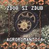 Portada Zdob și Zdub - Tempo Zdob și Zdub - Tempo