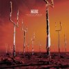 Portada Muse - New Born (XX Anniversary RemiXX) Muse - New Born (XX Anniversary RemiXX)
