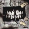 Portada In Strict Confidence - Falling Down (Tearing Thorns Version) In Strict Confidence - Falling Down (Tearing Thorns Version)