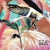 Portada SZA - Castles SZA - Castles