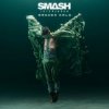 Portada Smash Into Pieces - Broken Halo Smash Into Pieces - Broken Halo
