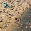 Portada Нікіта Кісельов - Чайка Нікіта Кісельов - Чайка