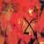 Portada The Neon Judgement - NY, Stoney Wall Doll