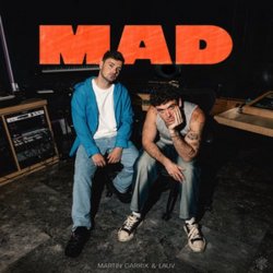 Portada Martin Garrix & Lauv - MAD (Dj Vianu Remix)