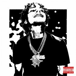 Portada D. Savage - Slow Rise