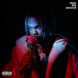 Portada CKay & Bella Shmurda - nothing spoil
