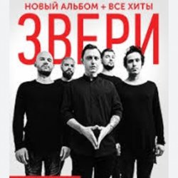 Portada Рома Зверев - Все что тебя касается
