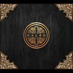 Portada Kaleo - Rock 'n' Roller