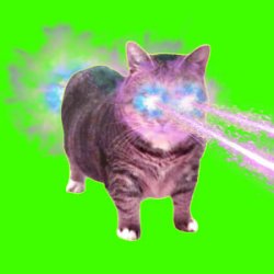 Portada XertXetin - OIIA OIIA COSMIC CAT (Sped Up)