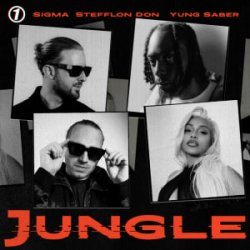Portada Sigma & Stefflon Don & Yung Saber - Jungle