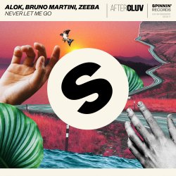 Portada Alok, Bruno Martini, Zeeba - Never Let Me Go