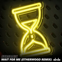 Portada Subsonic - Wait For Me (Etherwood Remix)