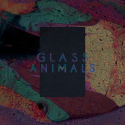 Portada Glass Animals - Black Mambo