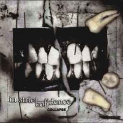 Portada In Strict Confidence - Burning Angel (Remix)