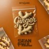 Portada Sean Paul - Ginger Sean Paul - Ginger
