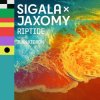 Portada Sigala & Jaxomy - Riptide (feat. Ilan Kidron) Sigala & Jaxomy - Riptide (feat. Ilan Kidron)