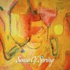Portada Frode Wassvik - Sense Of Spring Frode Wassvik - Sense Of Spring